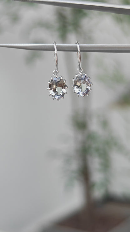 Oval Tanzanite Earrings